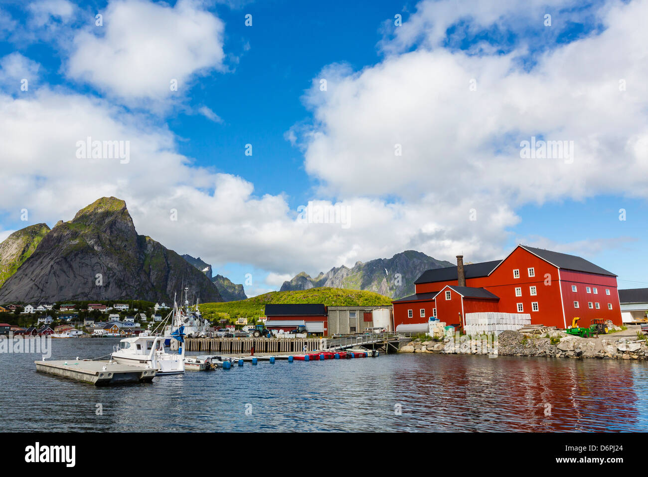 Merluzzo norvegese città di pescatori di Reine, Isole Lofoton, Norvegia, Scandinavia, Europa Foto Stock