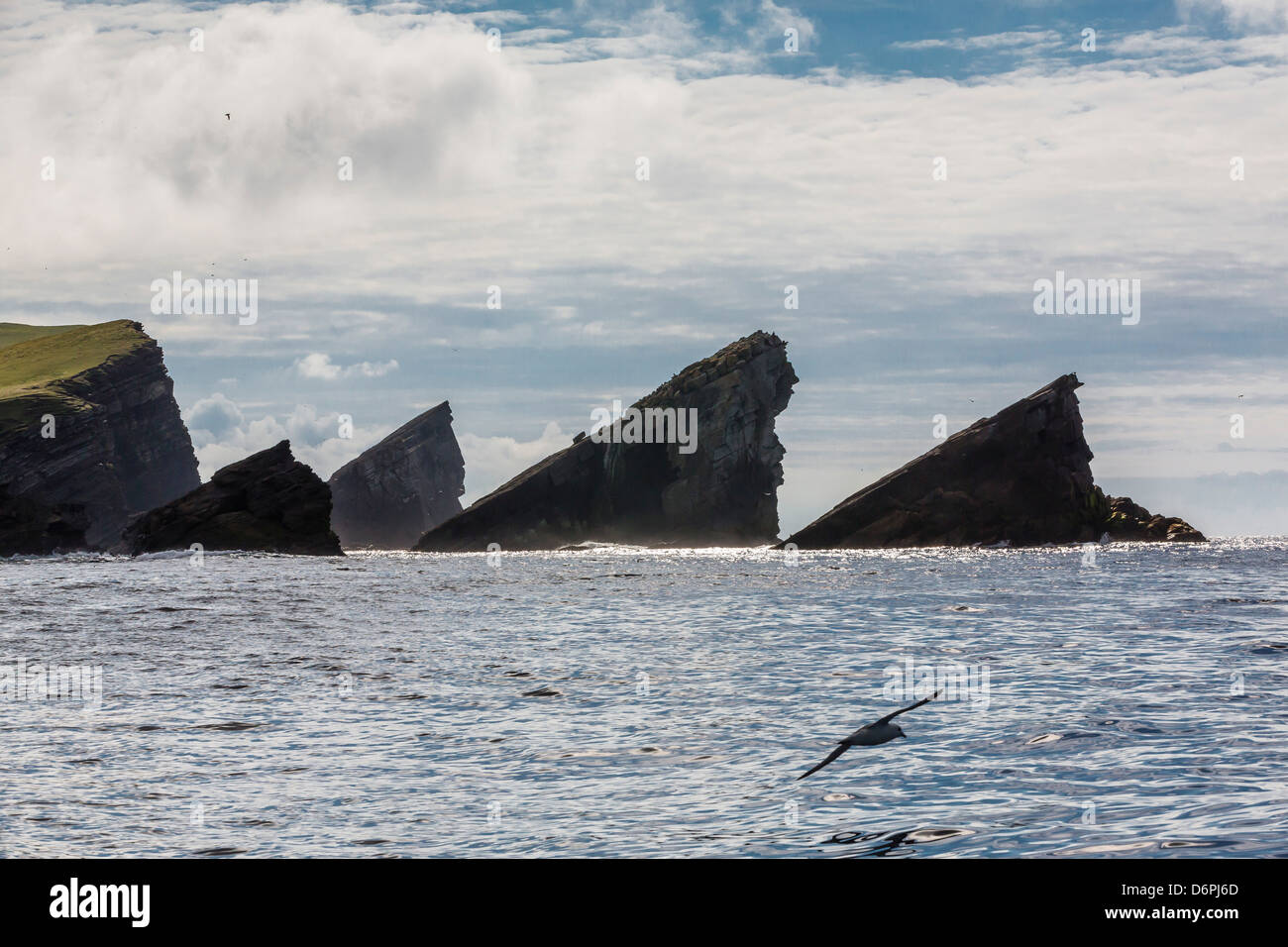 Formazione rocciosa conosciuta come Gada nello stack su Foula Isola, Shetland Scozia, Regno Unito, Europa Foto Stock