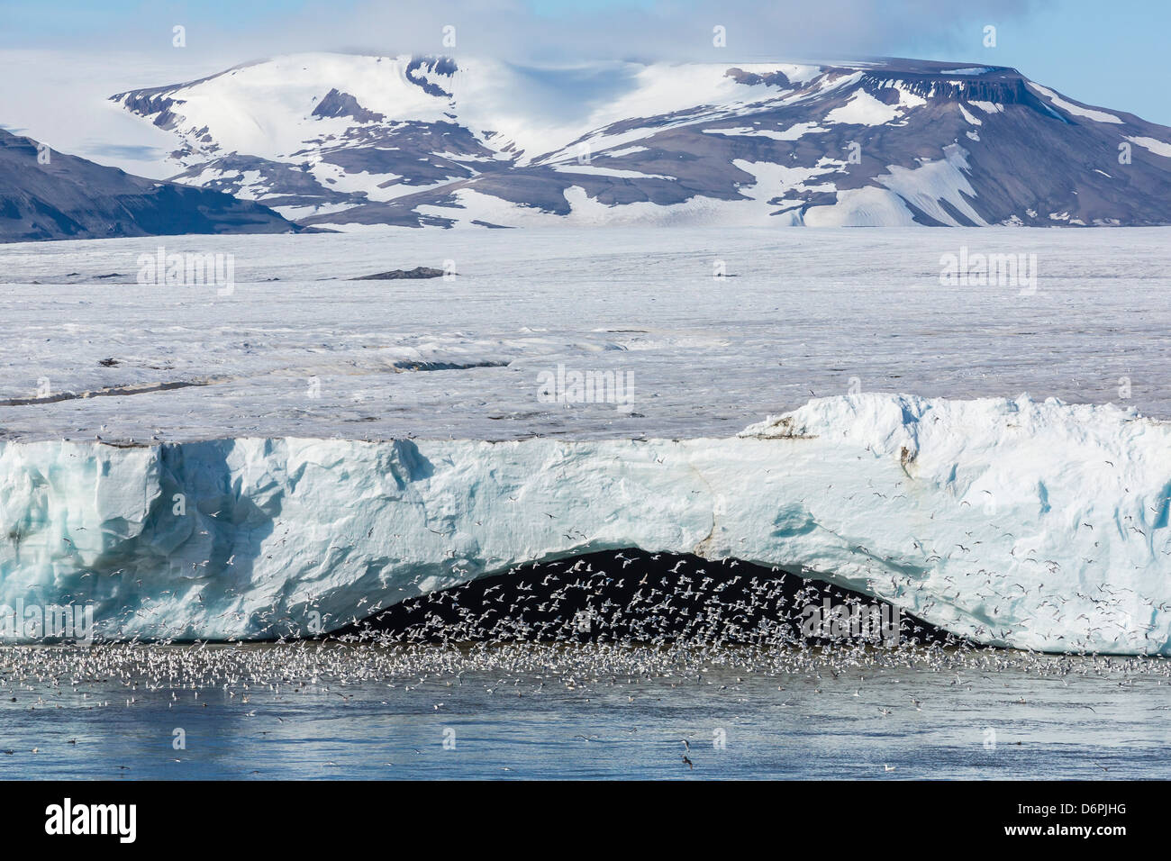 Negribreen (Negri Glacier), Olav V Land, Spitsbergen, arcipelago delle Svalbard, Norvegia, Scandinavia, Europa Foto Stock