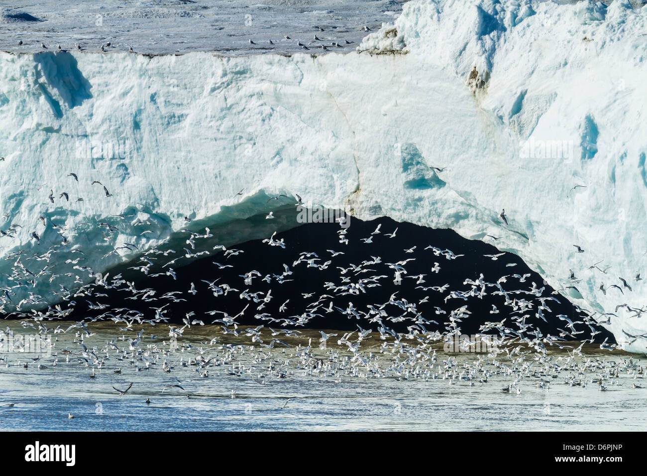 Negribreen (Negri Glacier), Olav V Land, Spitsbergen, arcipelago delle Svalbard, Norvegia, Scandinavia, Europa Foto Stock