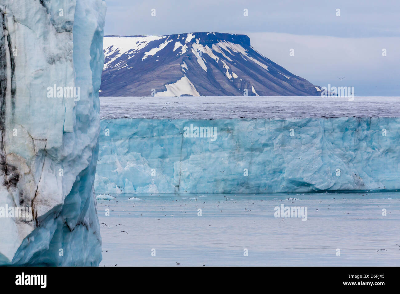 Negribreen (Negri Glacier), Olav V Land, Spitsbergen, arcipelago delle Svalbard, Norvegia, Scandinavia, Europa Foto Stock