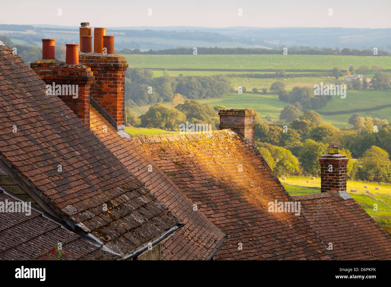Tetti di case lungo la Collina d'oro, Shaftesbury, Dorset, England, Regno Unito, Europa Foto Stock