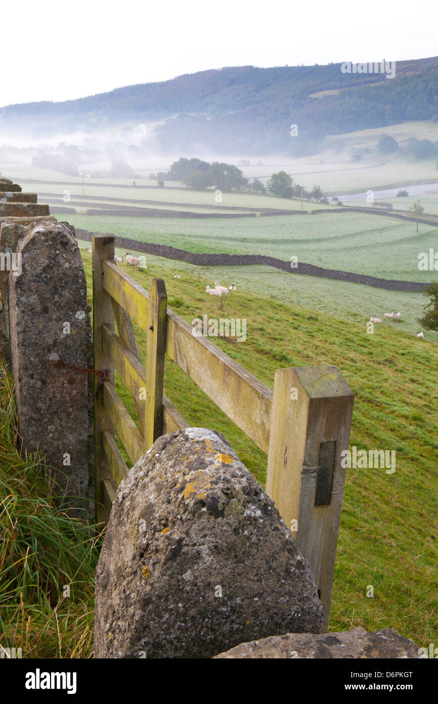 Gate nel muro di pietra e un campo vicino Burnsall, Yorkshire Dales National Park, il Yorkshire, Inghilterra, Regno Unito, Europa Foto Stock