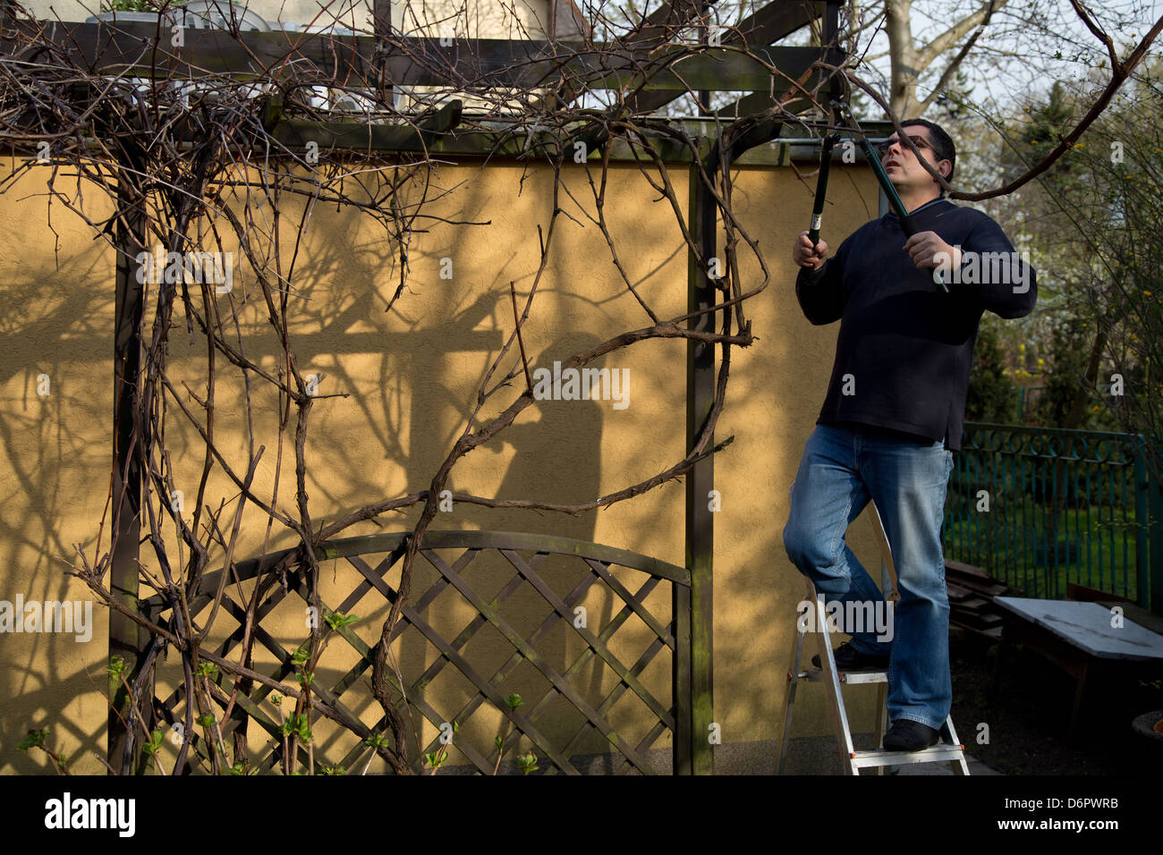 Wroclaw, Polonia, un uomo che lavora in giardino Foto Stock