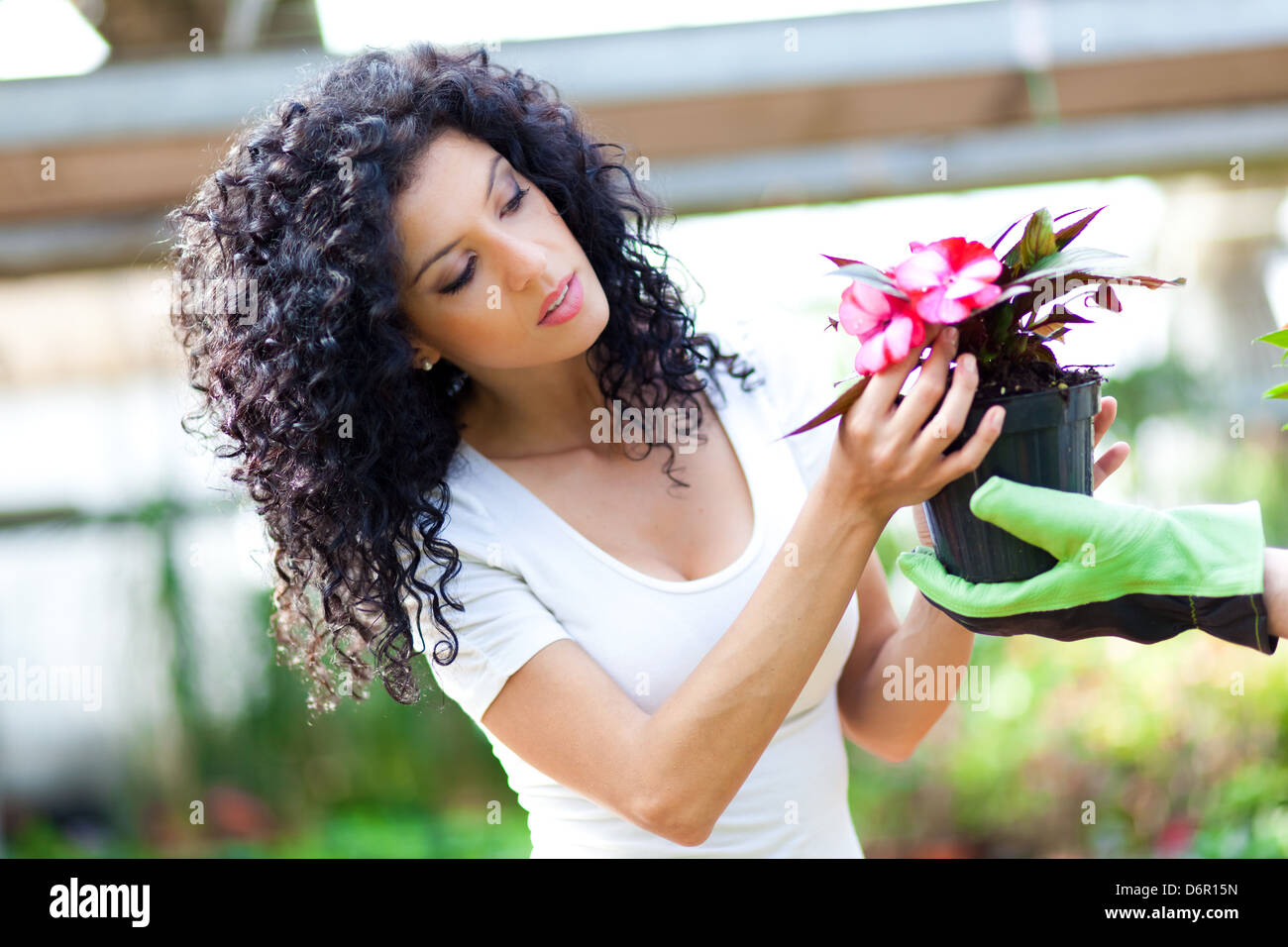 Ritratto di una donna scelta di fiori in una serra Foto Stock