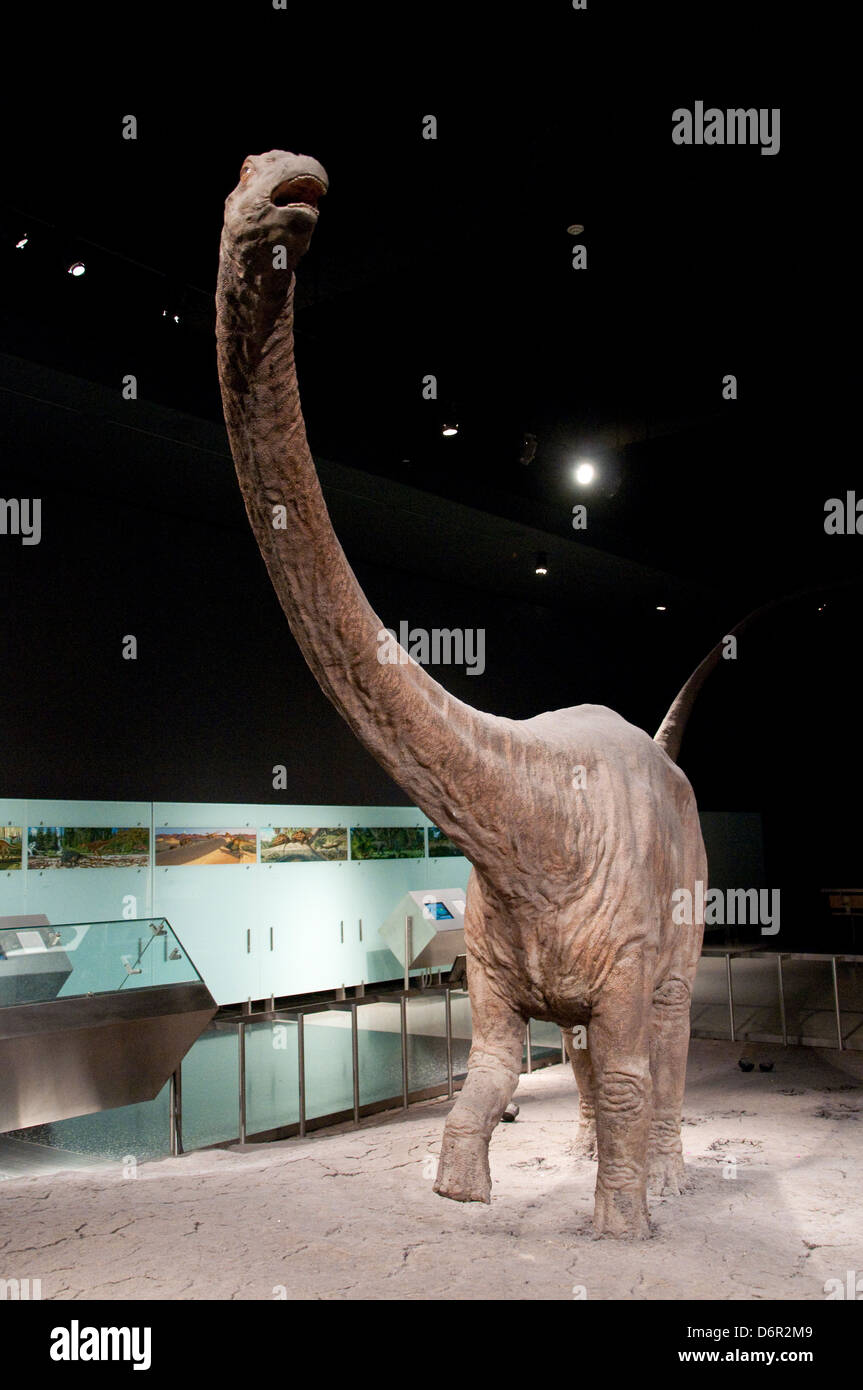L'orientamento Hall nel Museo Americano di Storia Naturale a New York STATI UNITI D'AMERICA Foto Stock