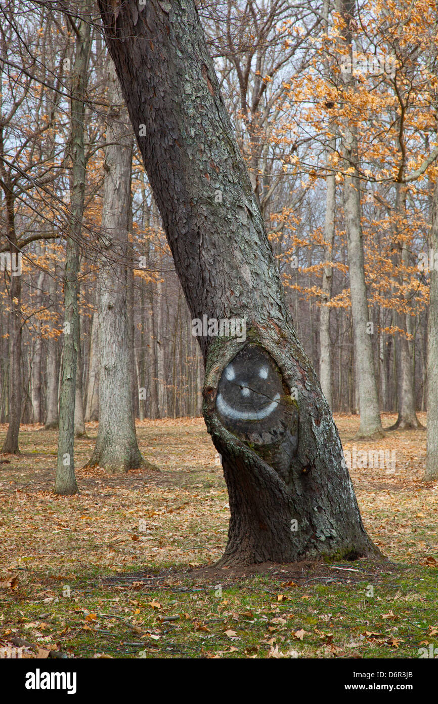 Mulini di Hudson, Michigan - un albero con una faccia felice in Hudson Mills Metropark. Foto Stock