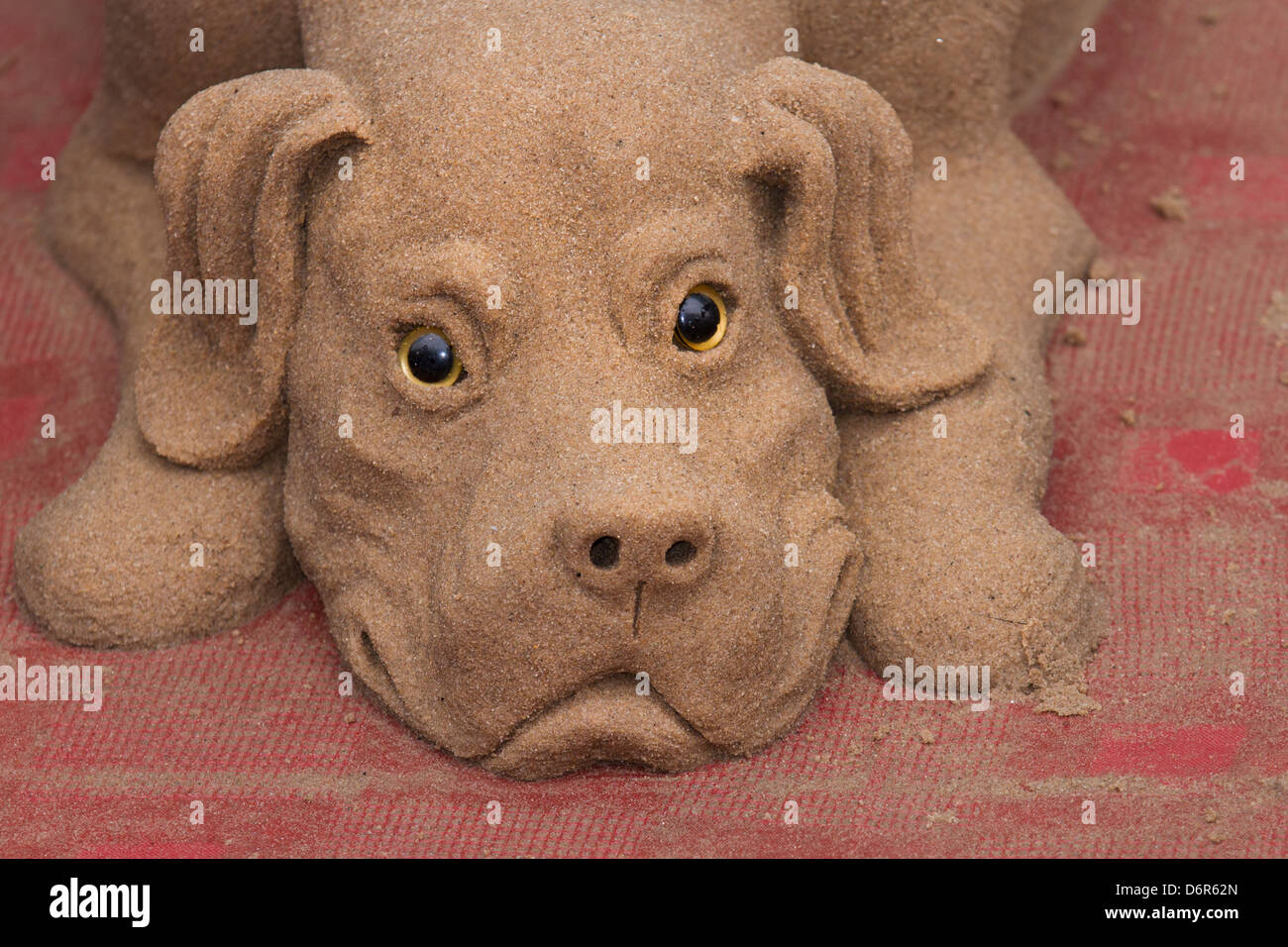 Close-up di intagliato e sagomato, la scultura di sabbia di cane sul marciapiede in Piccadilly Manchester, Regno Unito Foto Stock