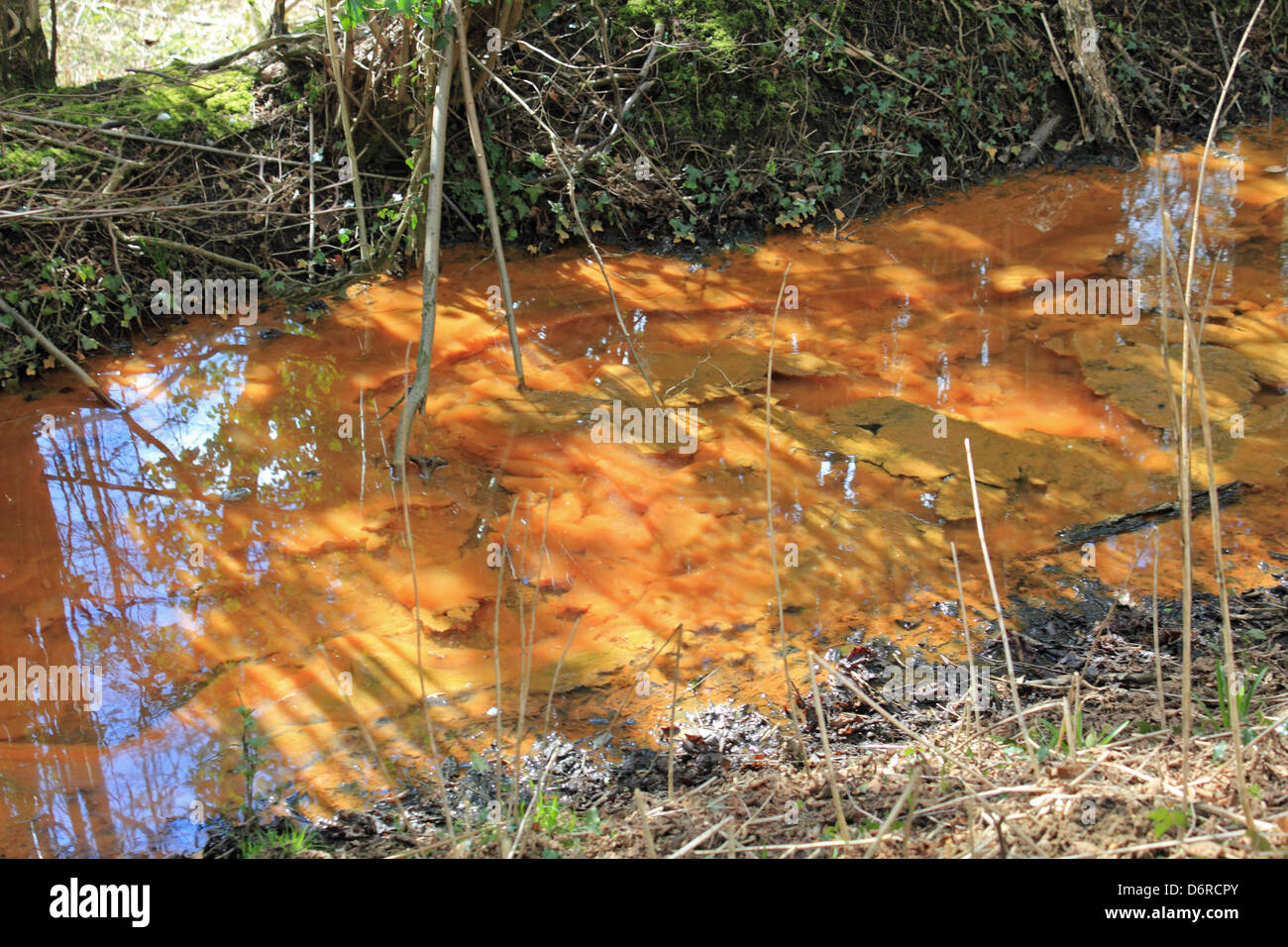 Flusso inquinato accanto Abinger Road, Coldharbor Surrey in Inghilterra REGNO UNITO Foto Stock