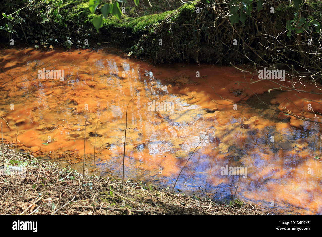 Flusso inquinato accanto Abinger Road, Coldharbor Surrey in Inghilterra REGNO UNITO Foto Stock