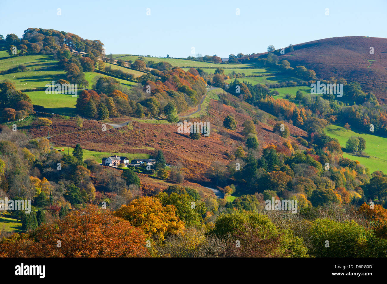 Gallese paesaggio autunnale, Powys, Wales, Regno Unito. Foto Stock