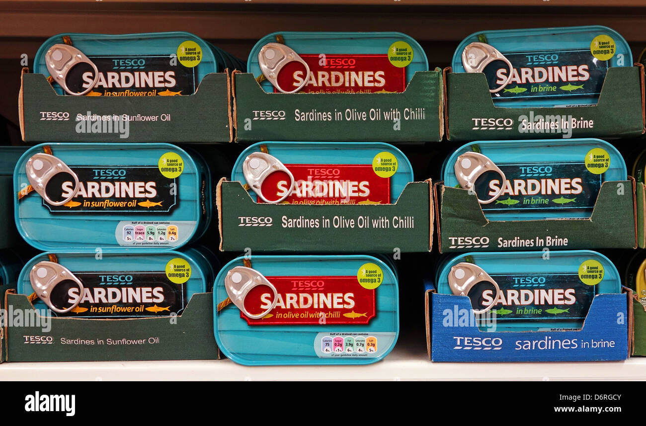 Conserve di sardine a Tesco, REGNO UNITO Foto Stock