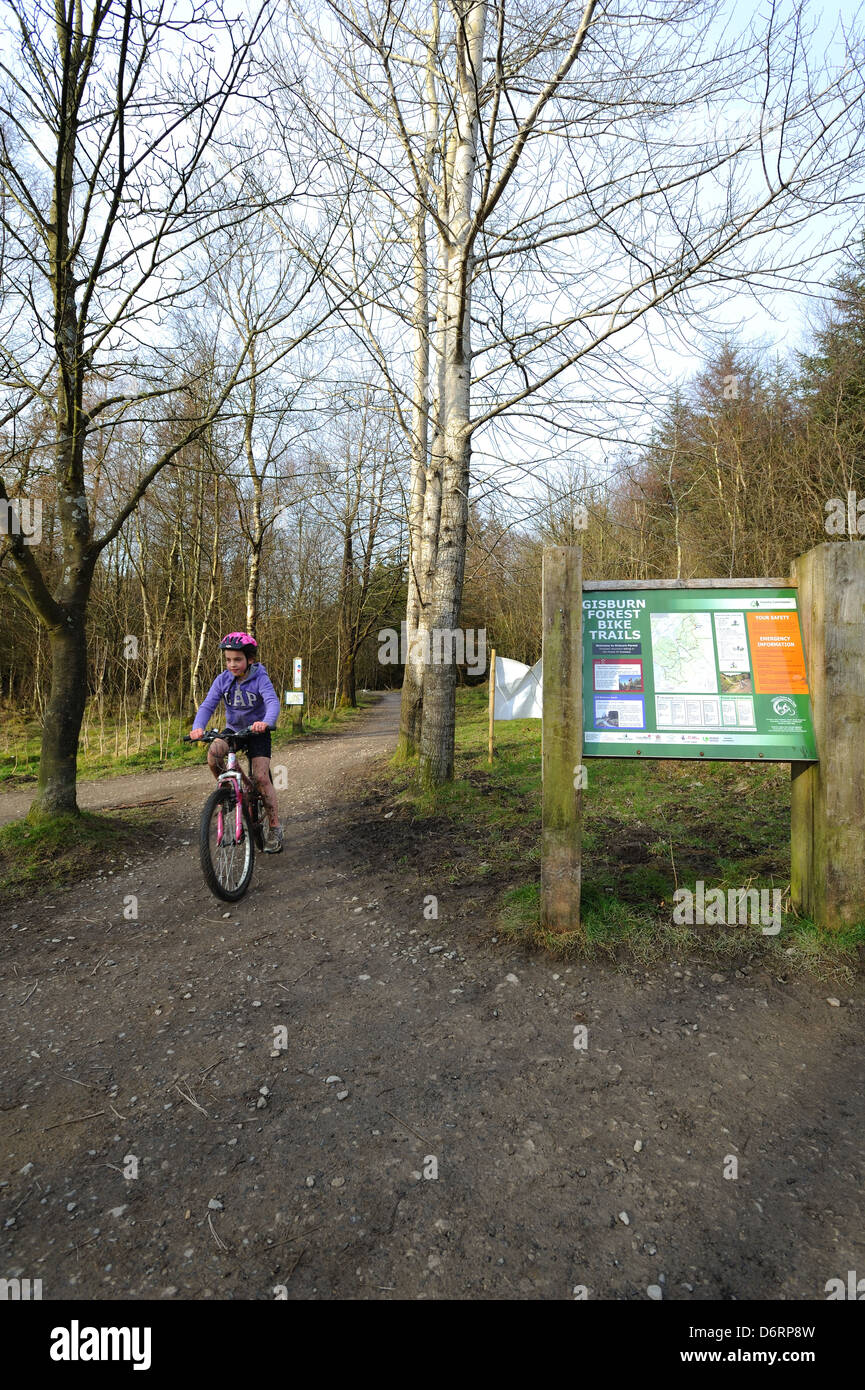 Gisburn Forest Trail Center Foto Stock