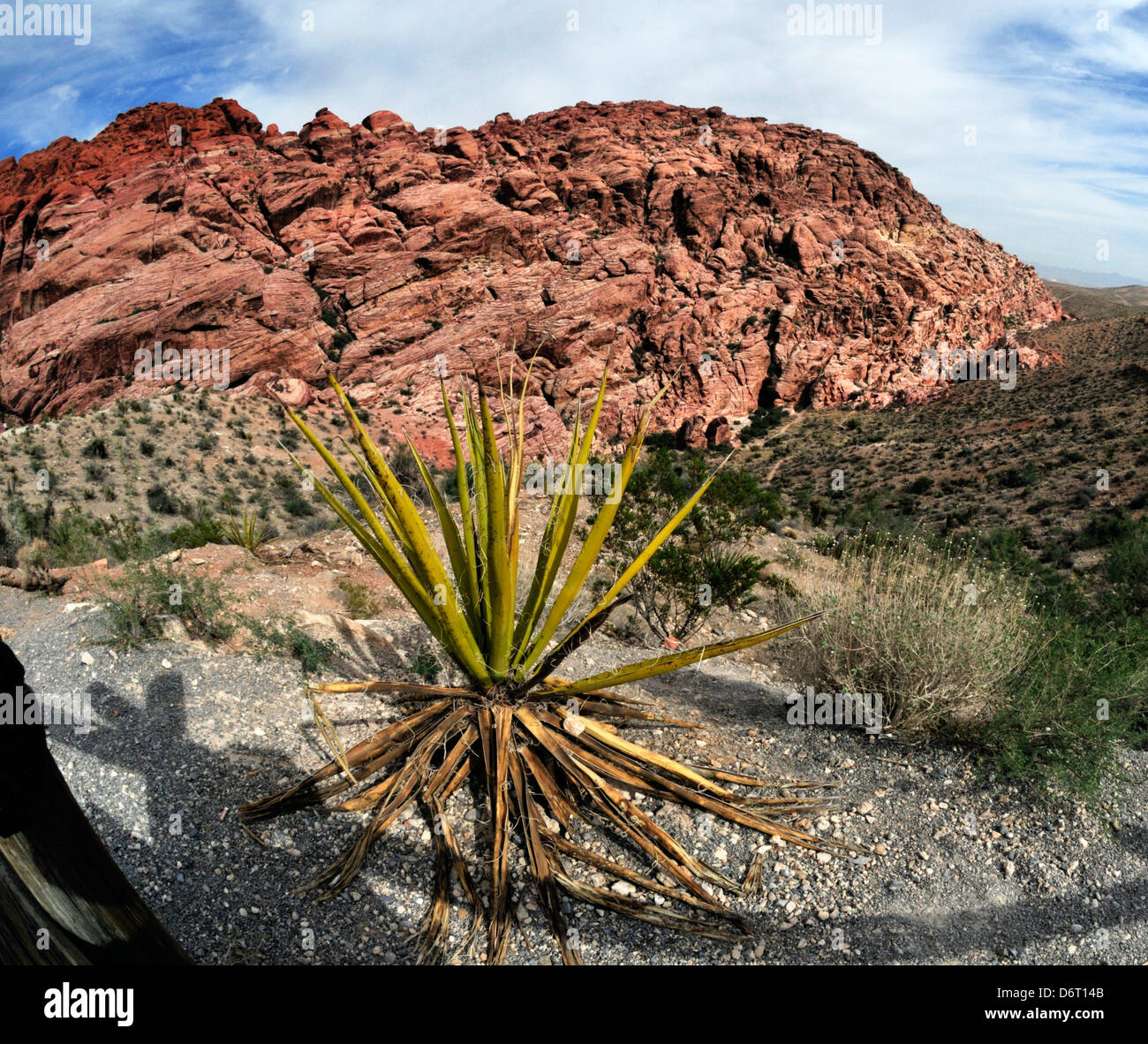 Vista delle colline multicolore di Red Rock Canyon dal punto più alto si affacciano Foto Stock