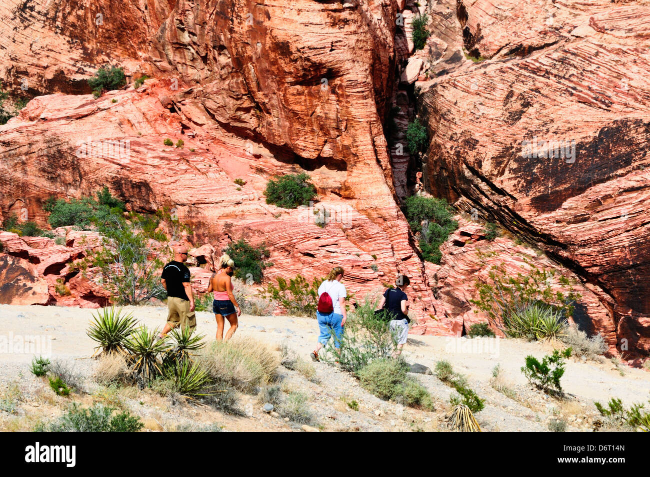 Gli escursionisti in il calicò area collinare di Red Rock Canyon Foto Stock