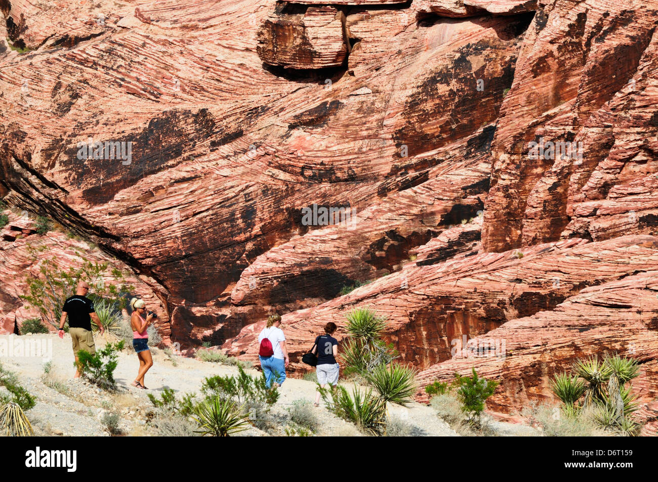 Gli escursionisti in il calicò area collinare di Red Rock Canyon Foto Stock