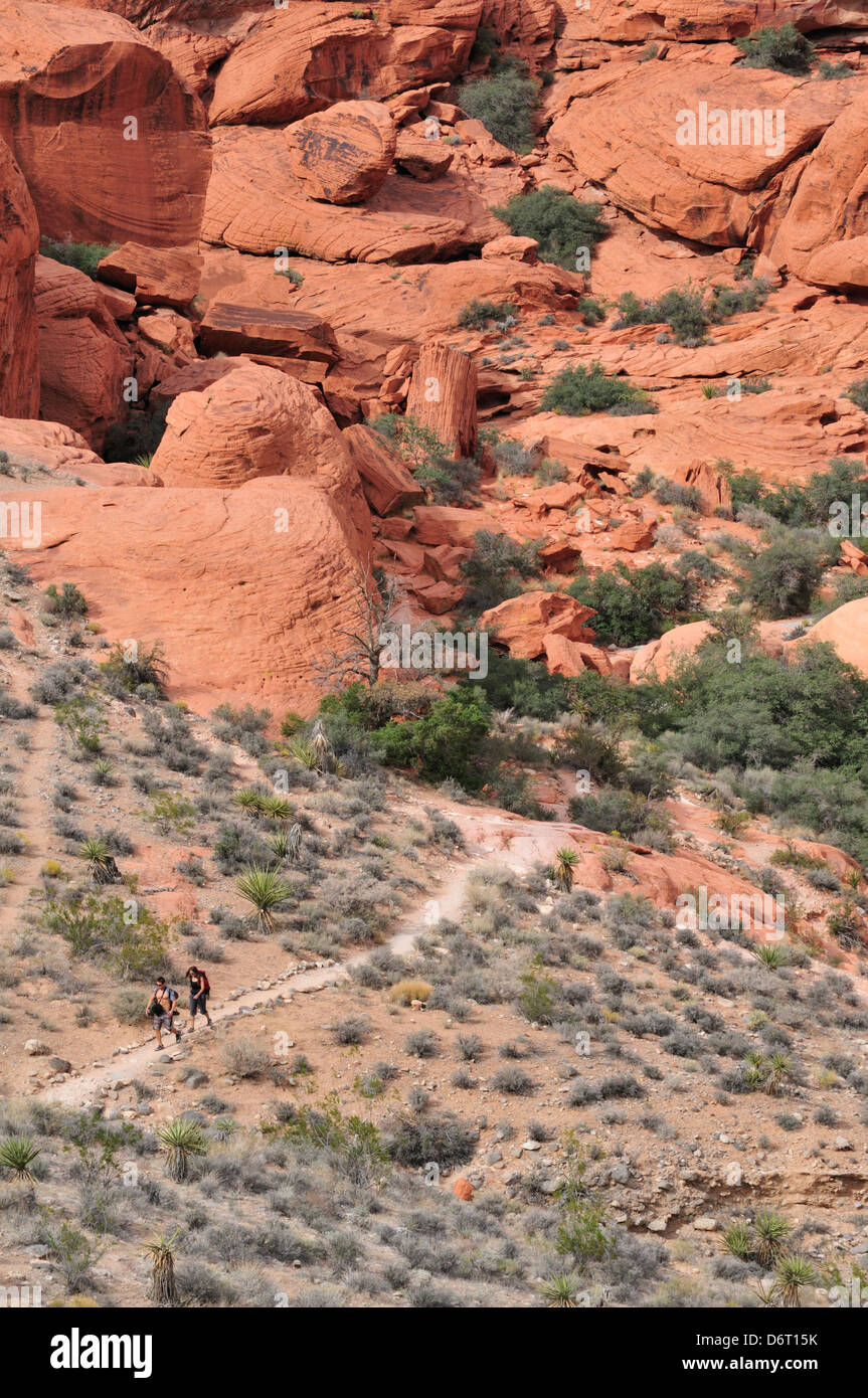 Gli escursionisti in il calicò area collinare di Red Rock Canyon Foto Stock