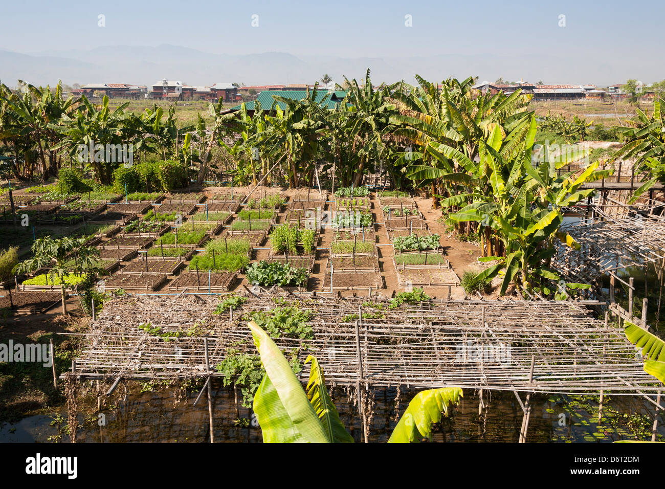 Orto biologico, Patrimonio Inthar House, Inpawkhon Village, Lago Inle, Stato Shan, Myanmar (Birmania) Foto Stock
