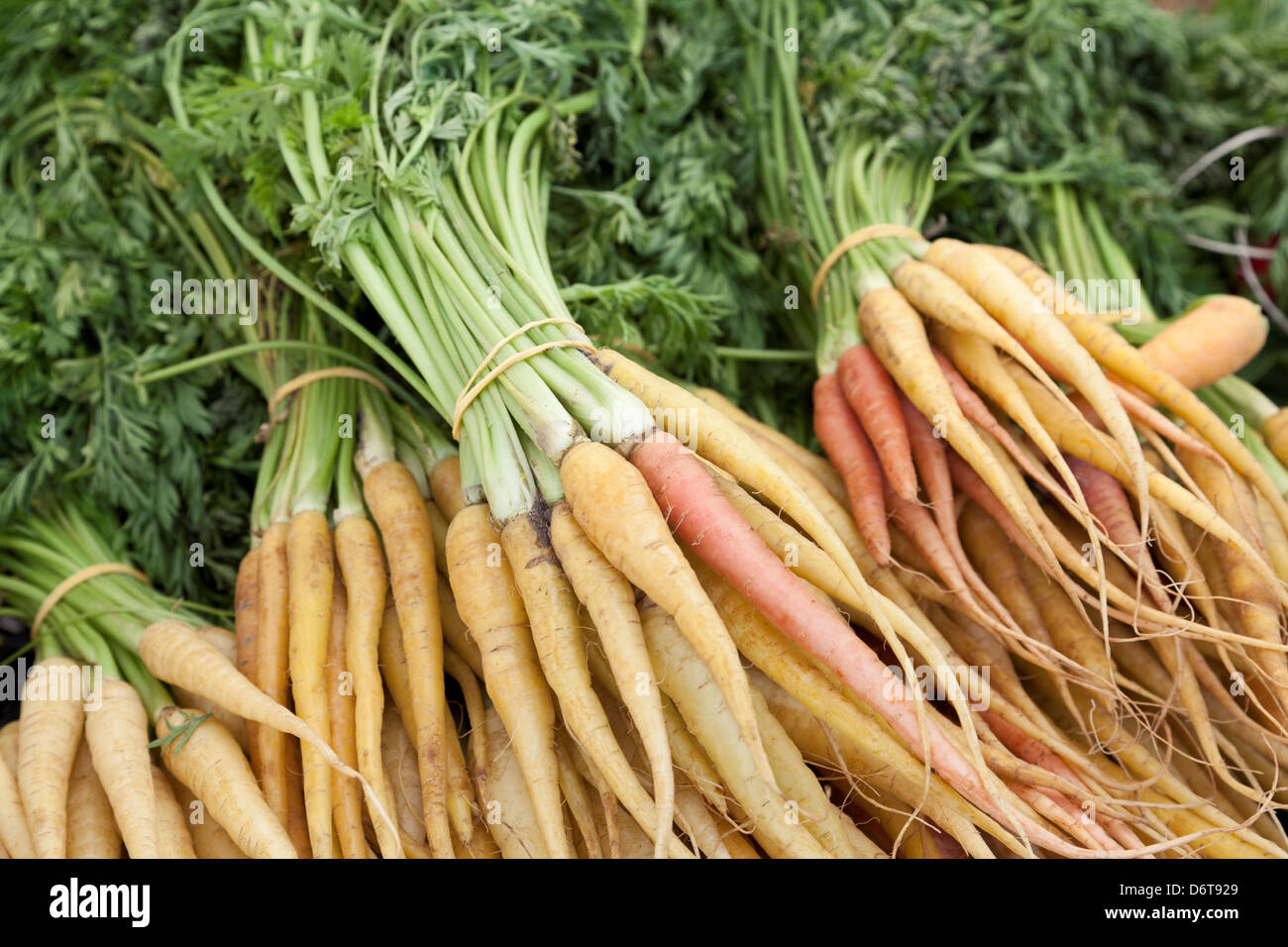 Stati Uniti, California, La Jolla Mercato Agricolo, organico carote Foto Stock