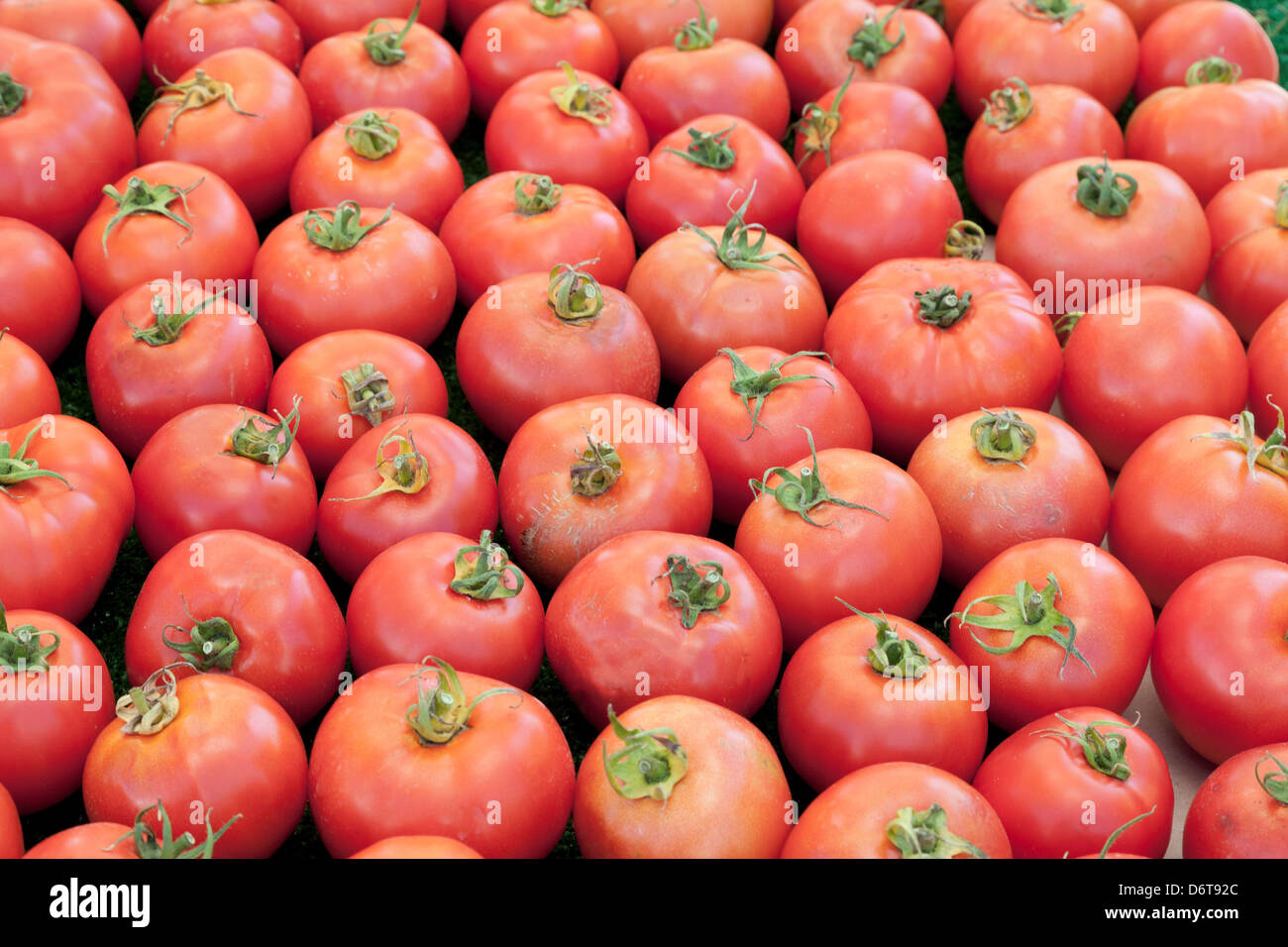 Stati Uniti, California, La Jolla Mercato Agricolo, pomodori organici Foto Stock