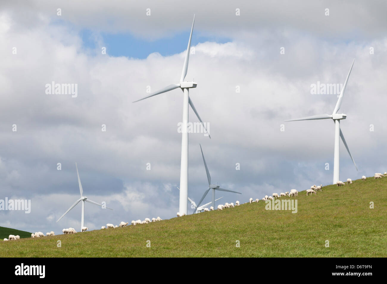 Stati Uniti, California, Uccelli atterraggio, vista di turbine eoliche Foto Stock