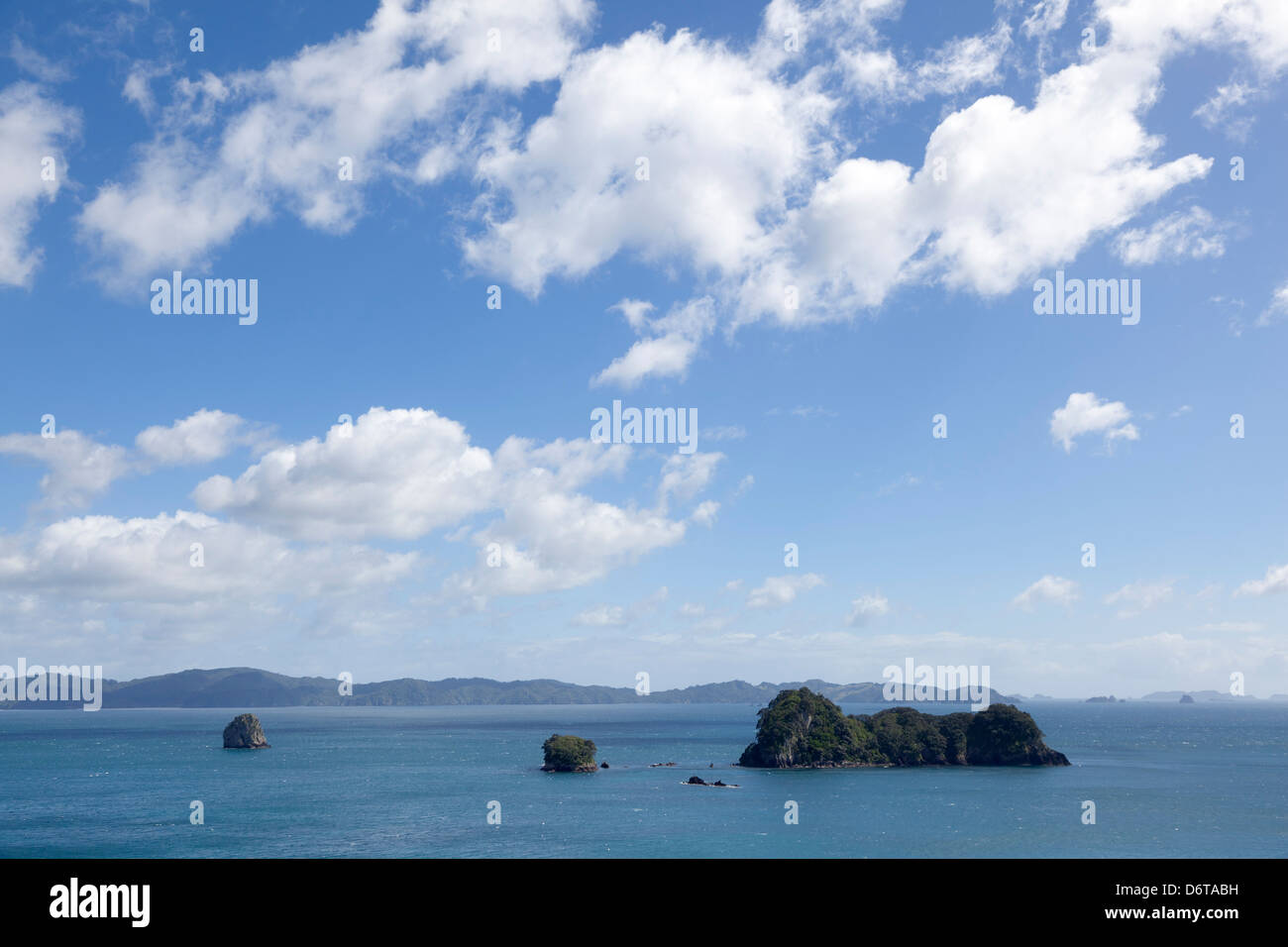 Vista da Cove della cattedrale percorso, Coromandel,vicino Hahei, isola settentrionale,Nuova Zelanda Foto Stock