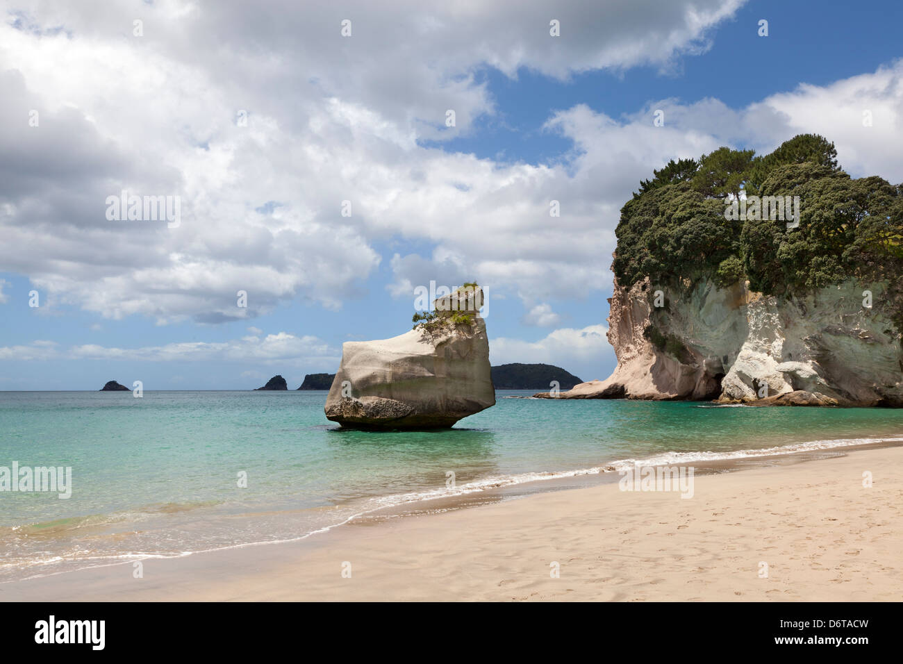 Cove della cattedrale, Coromandel,vicino Hahei, isola settentrionale,Nuova Zelanda Foto Stock