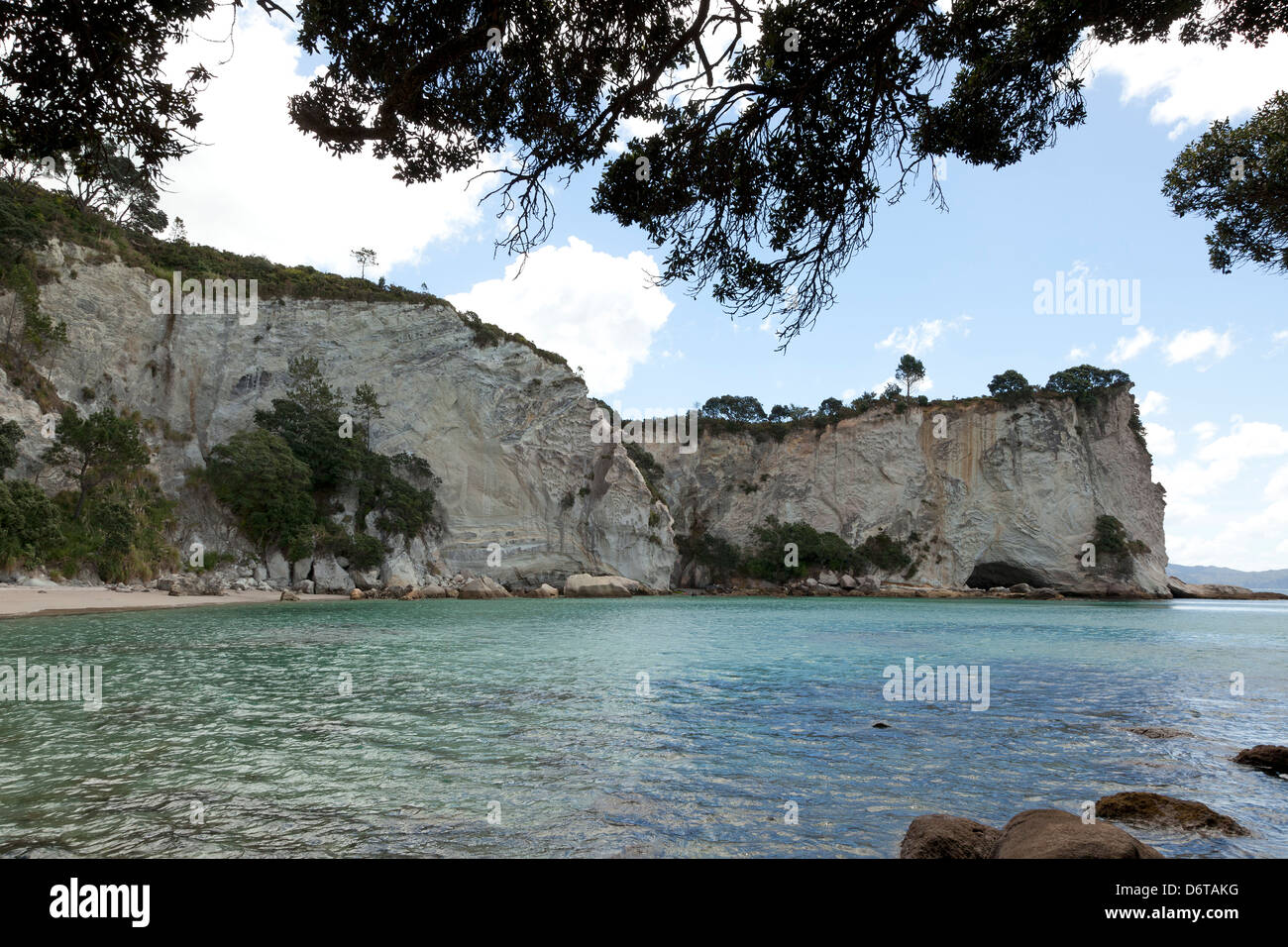 Vista da Cove della cattedrale percorso, Coromandel,vicino Hahei, isola settentrionale,Nuova Zelanda Foto Stock