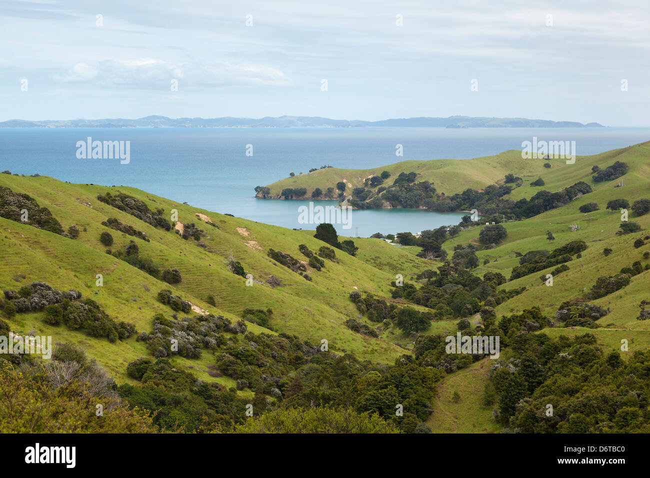 Vista da SH25 Coromandel, Nuova Zelanda Foto Stock