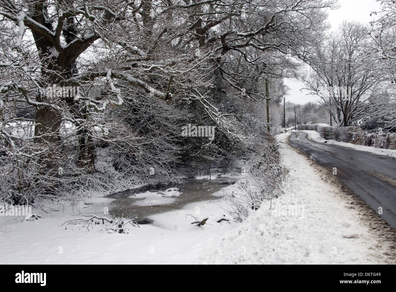 Edicola stagno con il ghiaccio e la neve sulla corsia, tra ampi boschi di querce e di Mayfield, East Sussex, Inghilterra, Gennaio Foto Stock