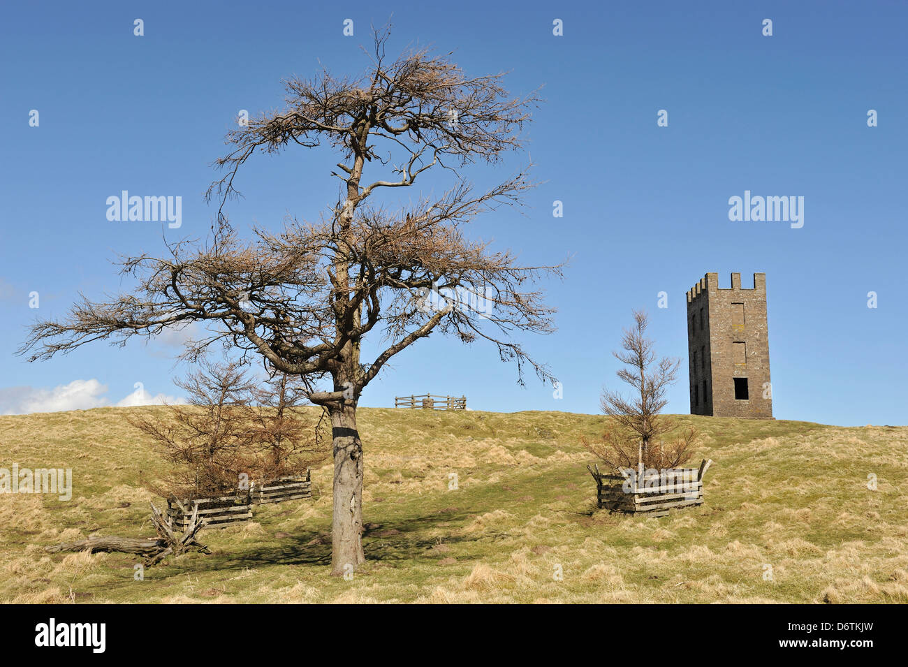 Torre Kinpurney, Newtyle, Angus, Scotland, Regno Unito Foto Stock