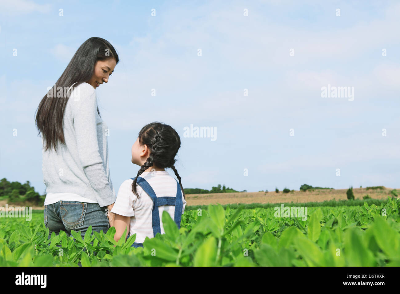 Madre e figlia in un campo di ortaggi Foto Stock