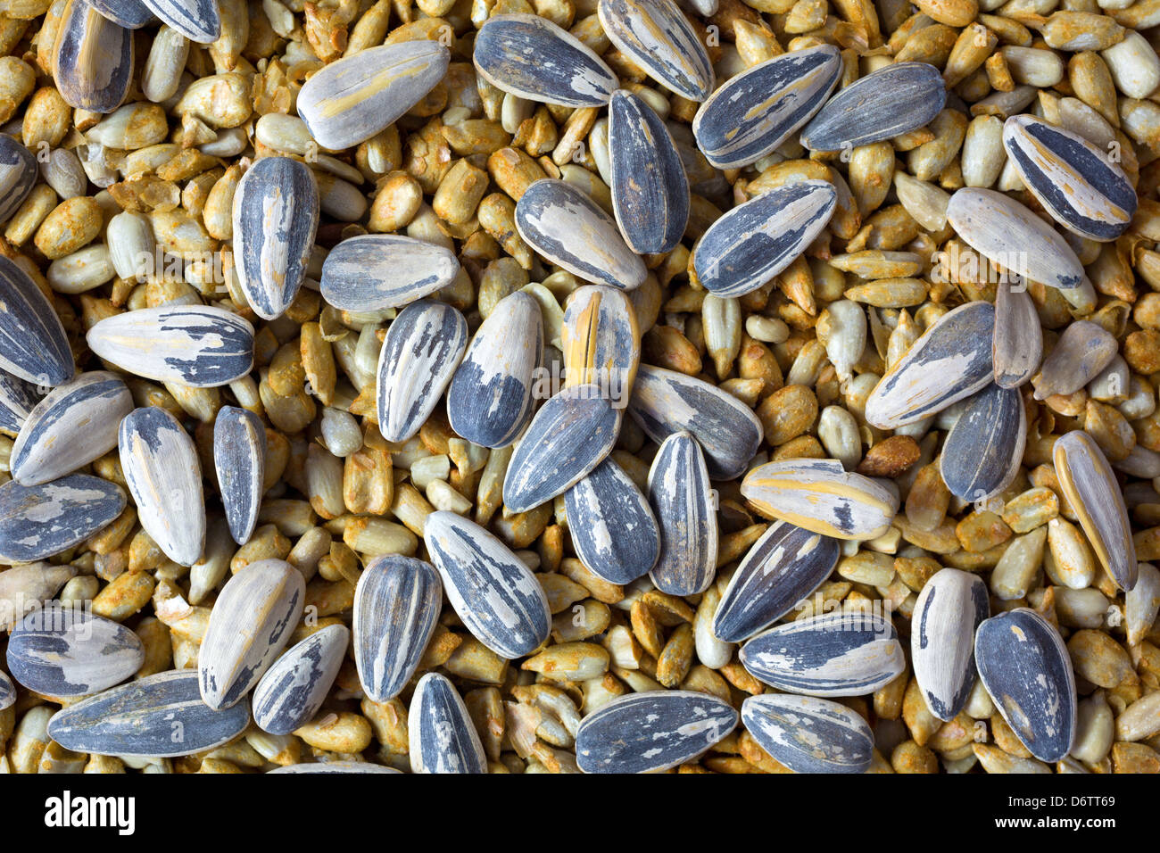 Vari arrosti di semi di girasole in cima i semi di girasole. Foto Stock