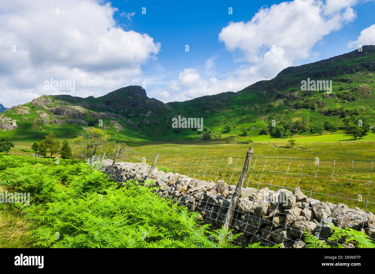 Asciugare la parete in pietra nel Lake District inglese con il lato Pike nella distanza. Cumbria, Inghilterra. Foto Stock