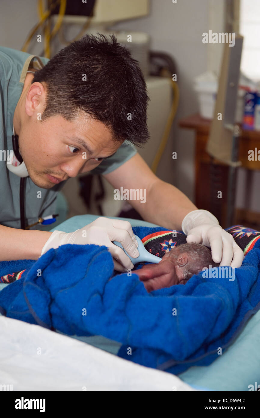 Medico americano e il Bambino nato 3 mese prematuramente, dopo il gennaio 2010 terremoto, Port-au-Prince, Haiti, dei Caraibi Foto Stock