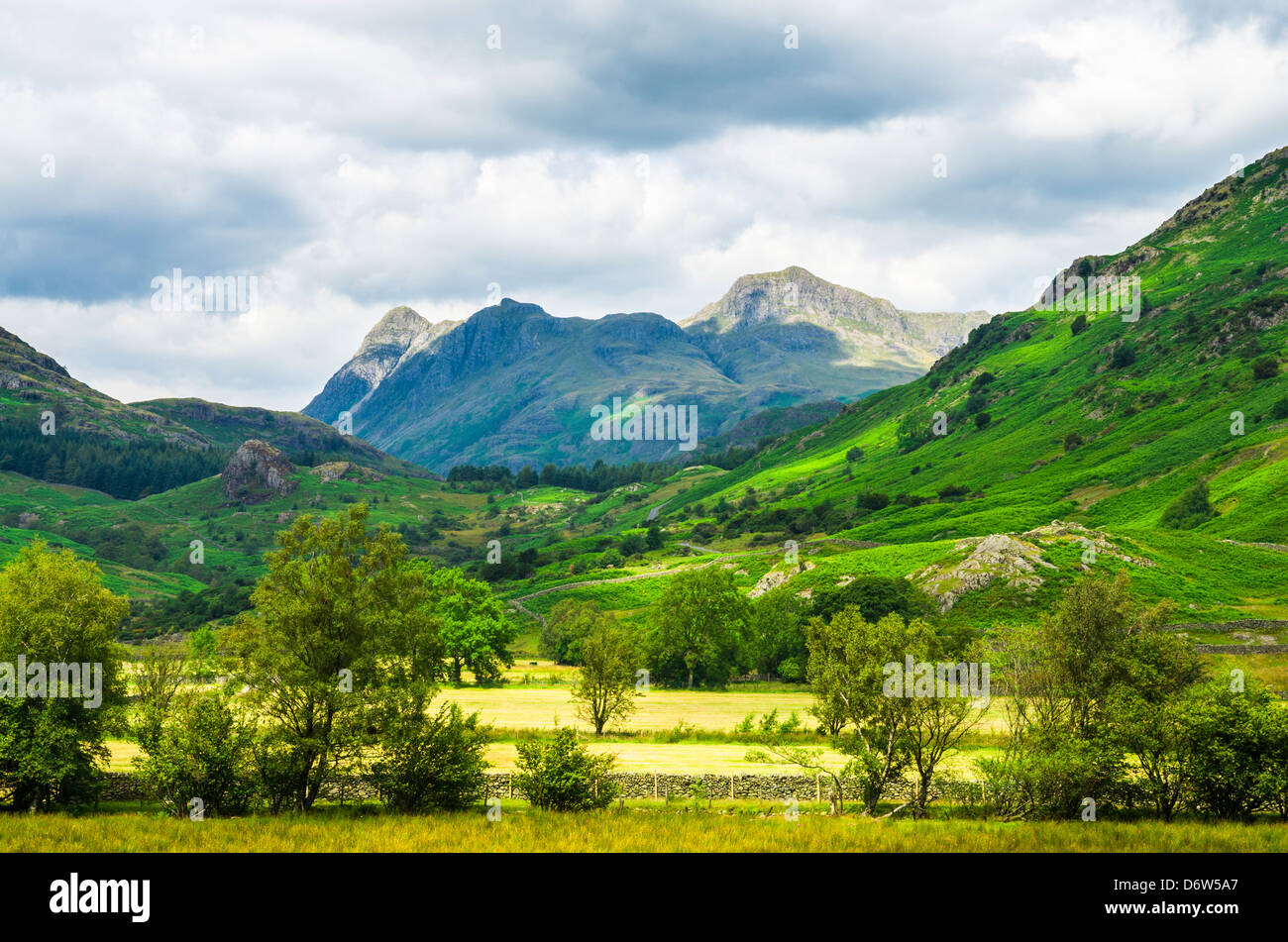 Langdale Pikes visto da poco Langdale Valley nel Lake District inglese, Cumbria, Inghilterra. Foto Stock