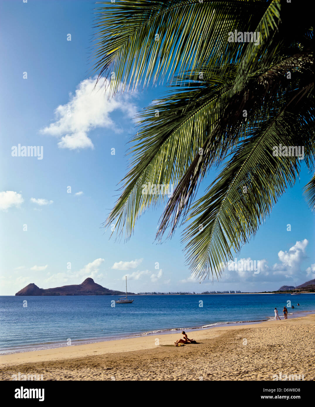 8475. Rodney Bay & Pigeon Island, St Lucia, Caraibi, West Indies Foto Stock