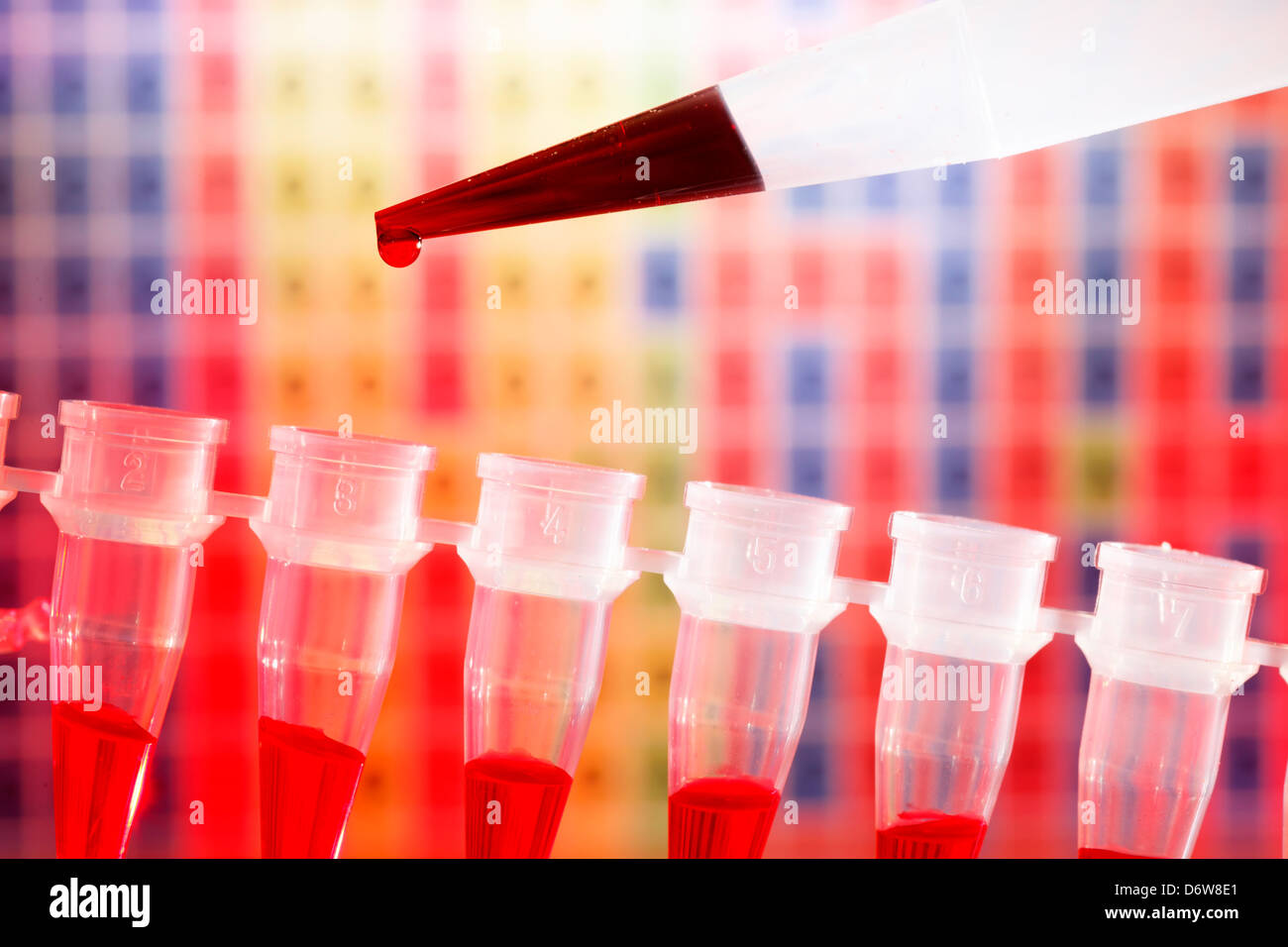 Ricerca di DNA, strip PCR e la micropipetta Foto Stock
