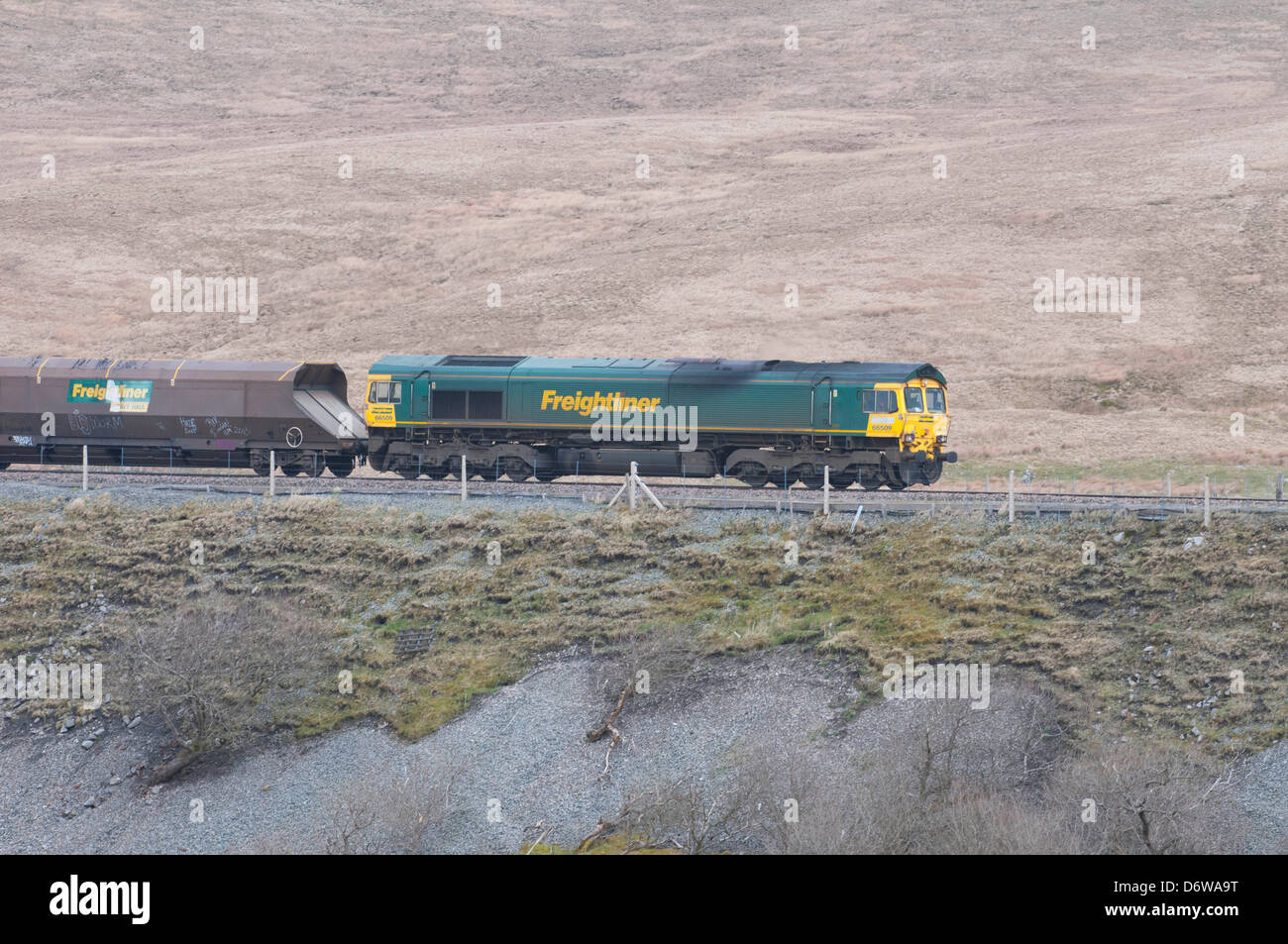 Freightliner treno e carri merci Foto Stock