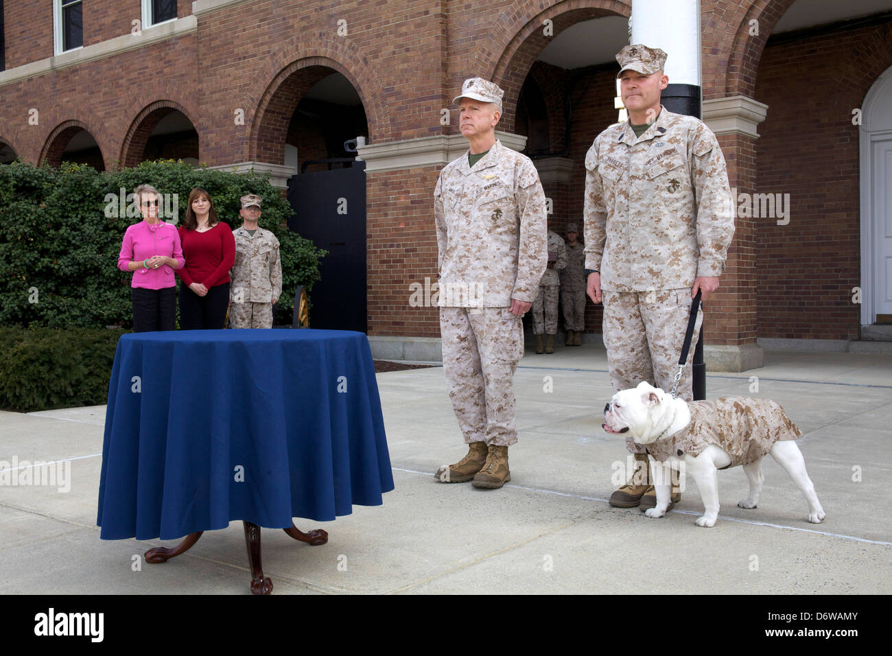 Il comandante del US Marine Corps gen. James F. Amos e xvii sergente maggiore dei Marine Corps, Sgt. Il Mag. Michael P. Barrett, stand con Sgt. Chesty XIII, in uscita Marine Corps mascot durante l'Aquila il globo e cerimonia di ancoraggio in entrata per le Marine Corps mascot privato di prima classe Chesty XIV Aprile 8, 2013 a Washington, DC. Il Bulldog inglese è stata la scelta della razza per la mascotte di marine fin dagli anni cinquanta, con ciascuna essendo denominato Chesty in onore del altamente decorato fine gen. Lewis Chesty estrattore. Foto Stock