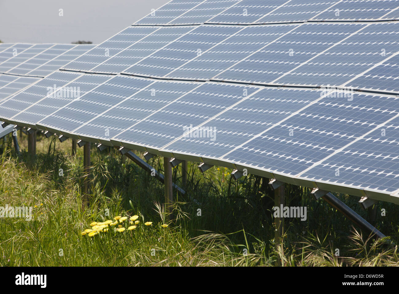 Impianto solare, elettricità, pannelli solari, Vulci, lazio, L'Italia, Europa Foto Stock