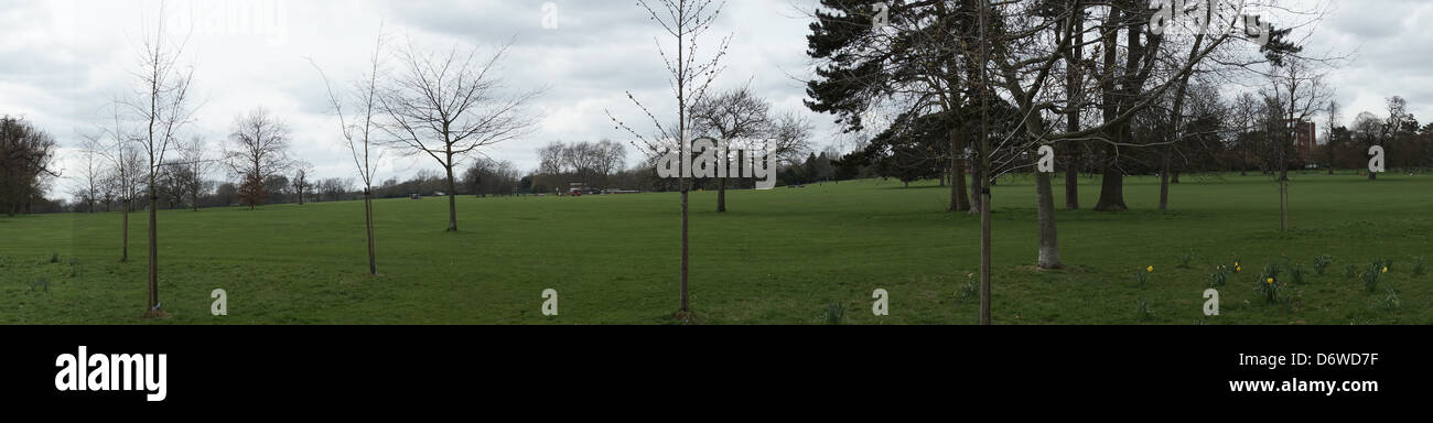 Parco di alberi di quercia verde argento erba appena tagliata oa Foto Stock