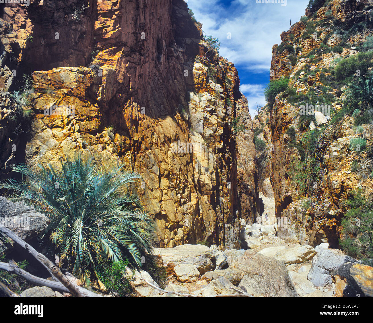 Australia, Territorio del Nord, Standley Chasm nella Catena Montuosa di MacDonnell Foto Stock