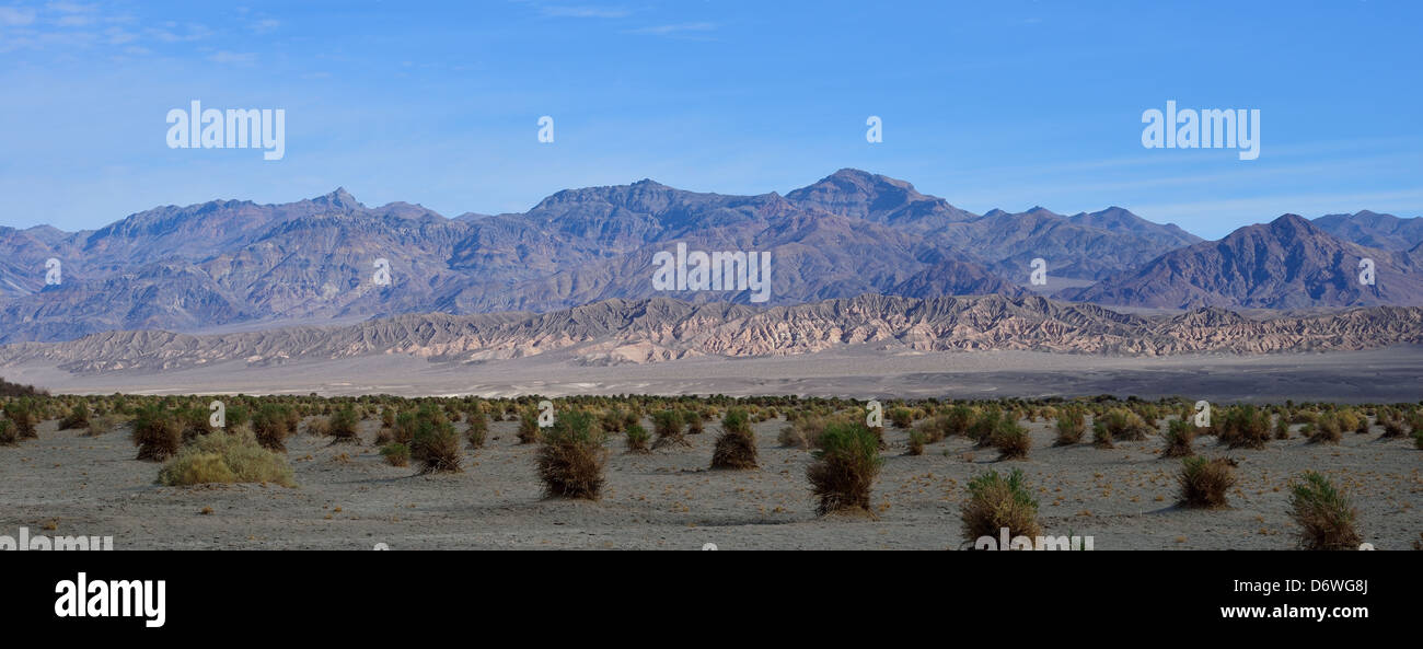 Panorama di Devil's Cornfield e Grapevine montagne. Parco Nazionale della Valle della Morte, California, Stati Uniti d'America. Foto Stock