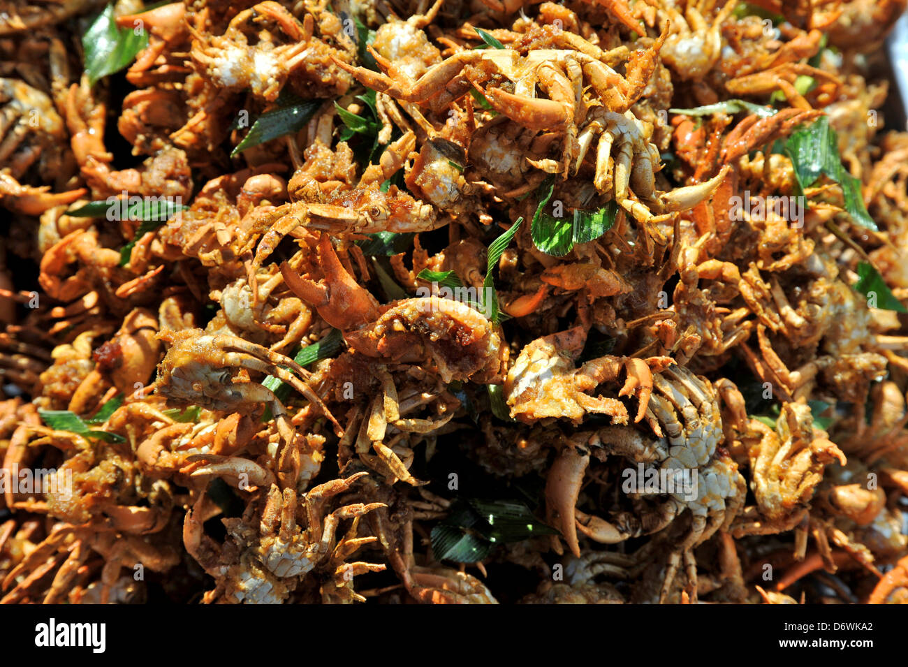 Thailandia, Khon Kaen, granchi fritti al cibo tailandese in stallo Foto Stock