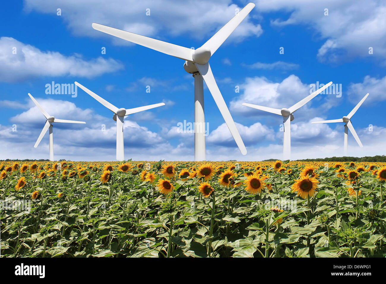 Diversi on-line le turbine eoliche su uno sfondo di cielo nuvoloso in un campo di girasoli Foto Stock