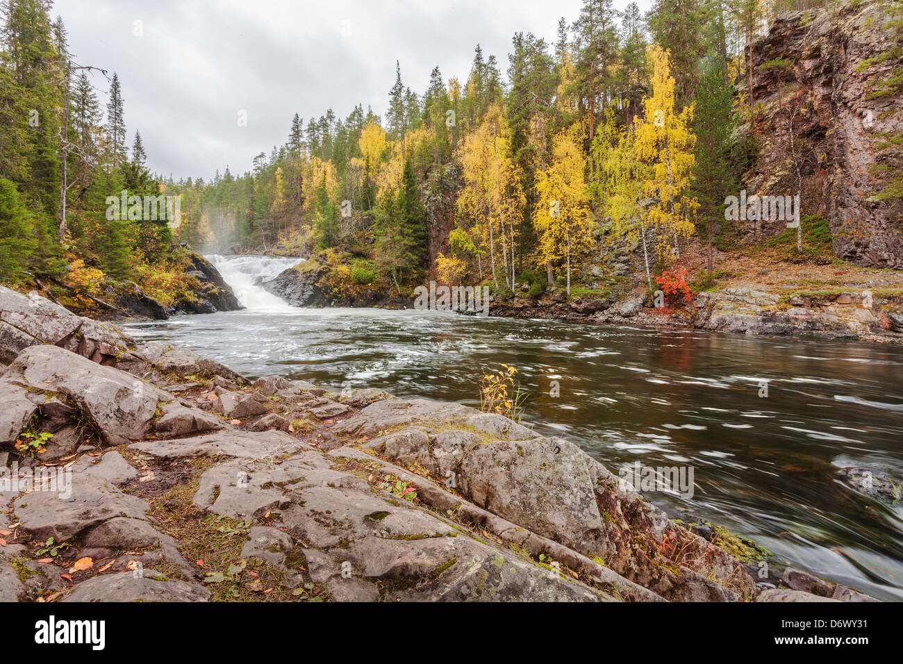 Scorre il fiume di montagna in autunno. Lapponia paesaggio Foto Stock