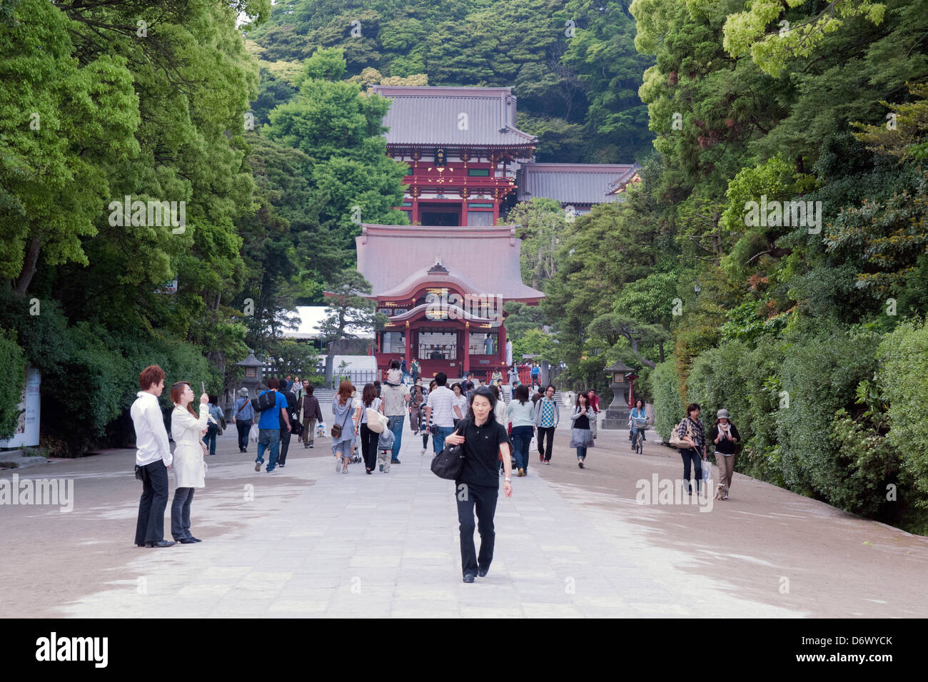 Famoso Tsurugaoka Hachimangu Santuario a Kamakura Foto Stock