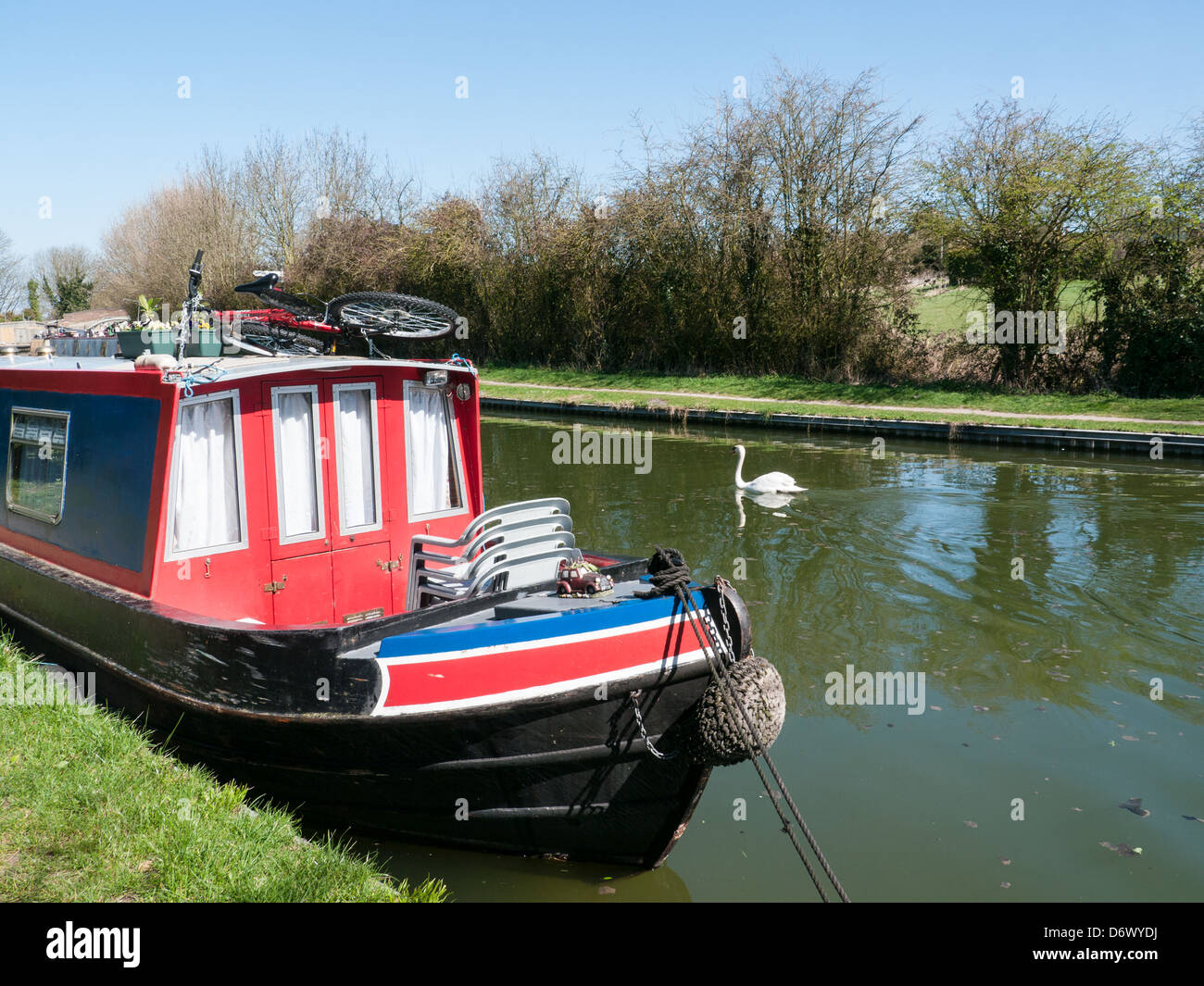 Barca stretta e un cigno sul Grand Union Canal a Marsworth, Aylesbury, Bucks, Regno Unito Foto Stock