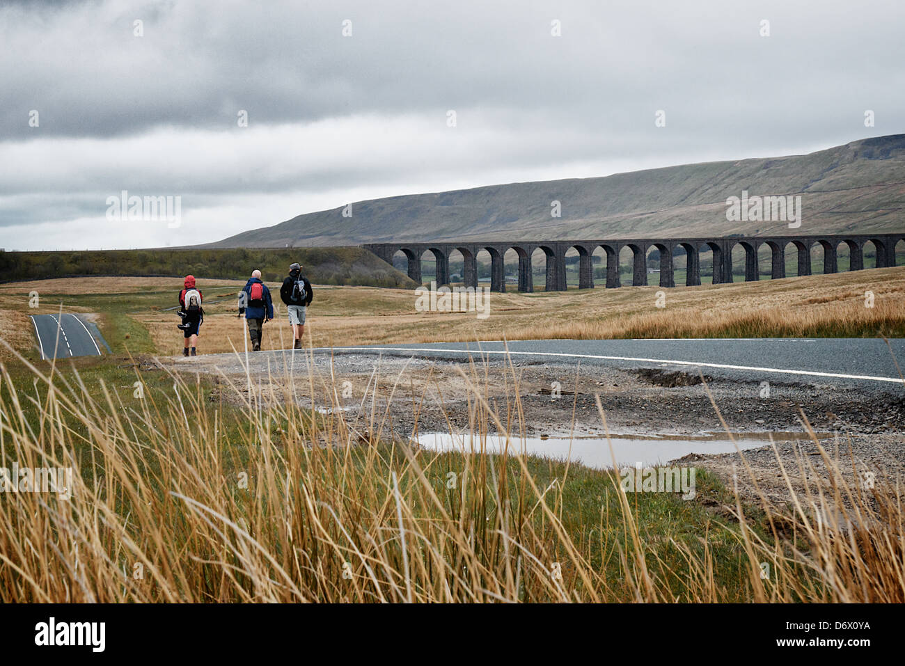 Walkers avvicinando Whernside e viadotto Ribblehead a piedi, North Yorkshire, Inghilterra. Parte di 3 picchi sfida. Foto Stock